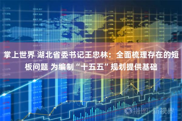 掌上世界 湖北省委书记王忠林：全面梳理存在的短板问题 为编制“十五五”规划提供基础