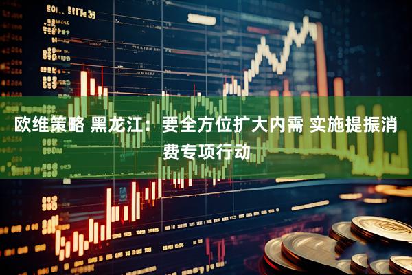 欧维策略 黑龙江：要全方位扩大内需 实施提振消费专项行动