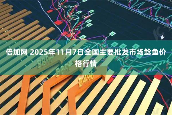 倍加网 2025年11月7日全国主要批发市场鲶鱼价格行情