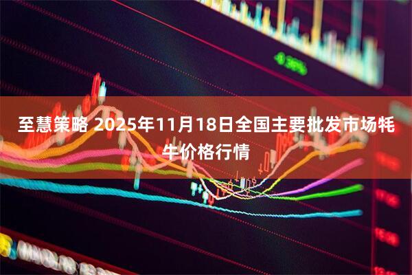 至慧策略 2025年11月18日全国主要批发市场牦牛价格行情