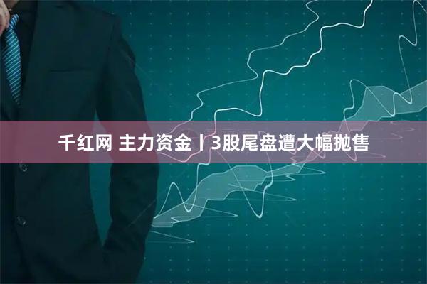千红网 主力资金丨3股尾盘遭大幅抛售