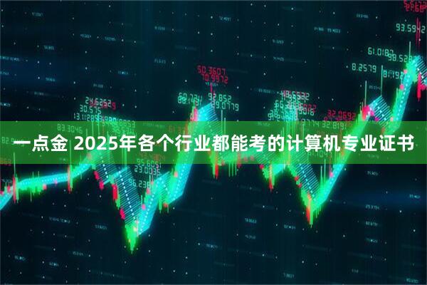 一点金 2025年各个行业都能考的计算机专业证书