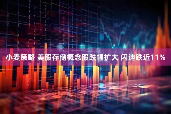 小麦策略 美股存储概念股跌幅扩大 闪迪跌近11%